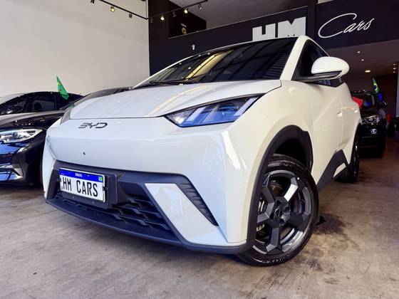 BYD DOLPHIN MINI 38 KW ELÉTRICO 5L BYD DOLPHIN MINI 38 KW ELÉTRICO 5L